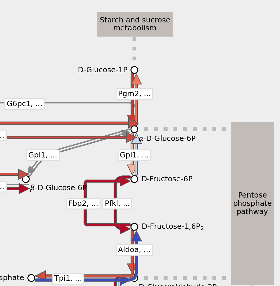 Example Visualization